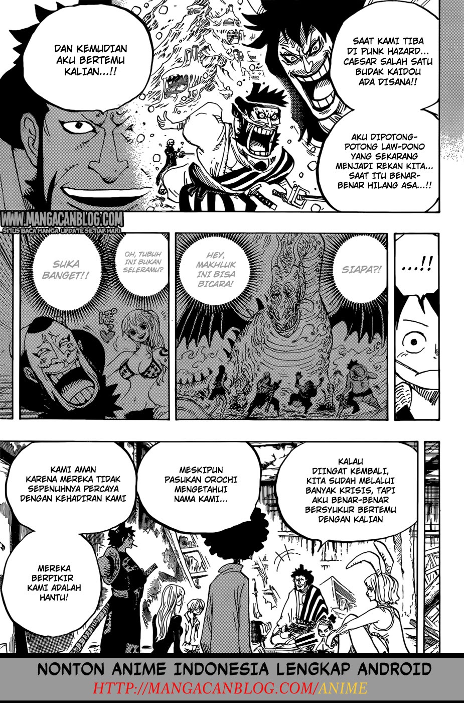 One Piece Chapter 920 Image 14