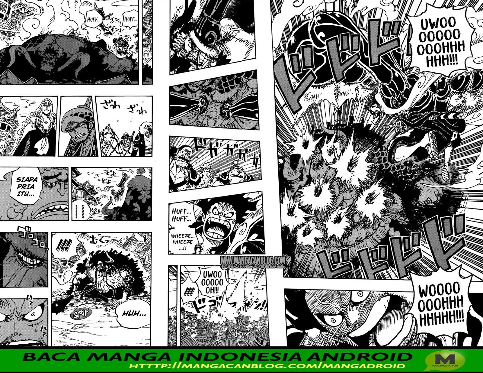 One Piece Chapter 923 Image 12