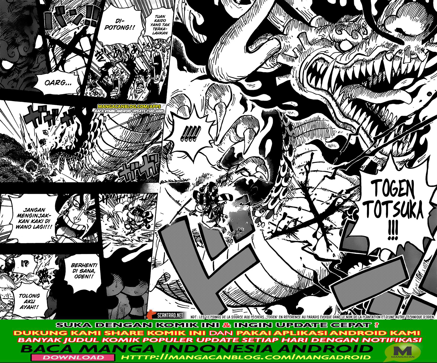 One Piece Chapter 970 Image 11