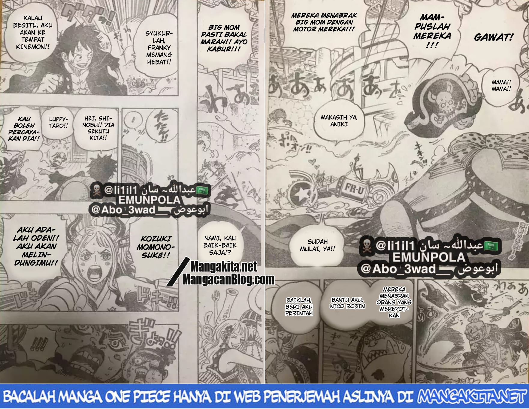 One Piece Chapter 989 (lq) Image 2