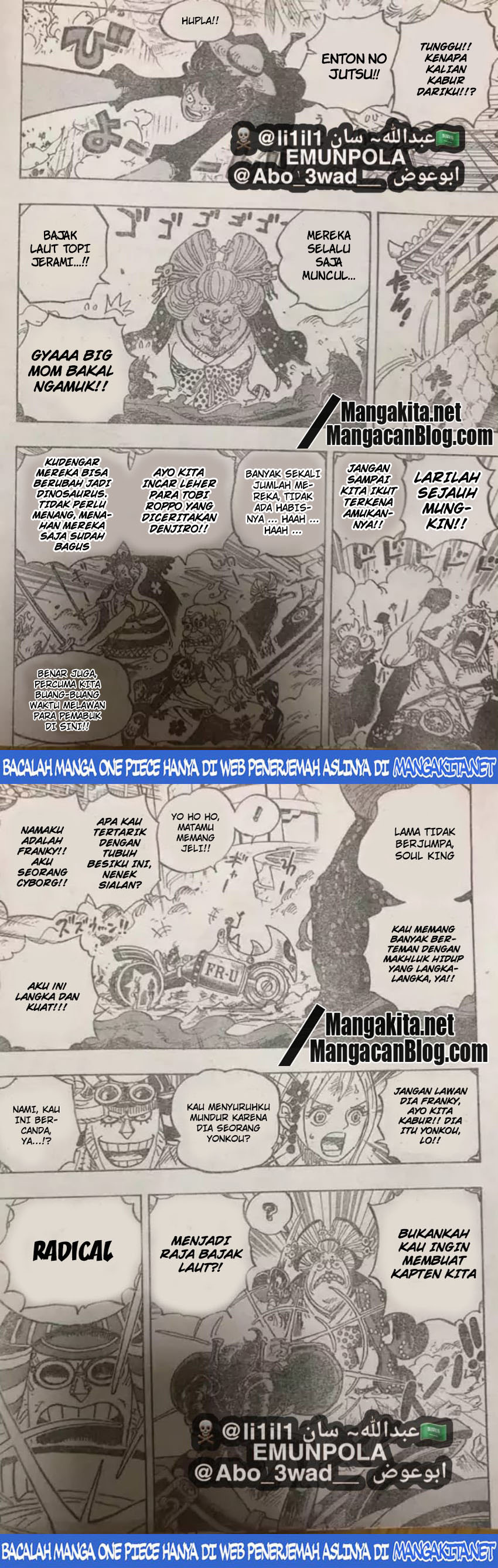 One Piece Chapter 989 (lq) Image 3