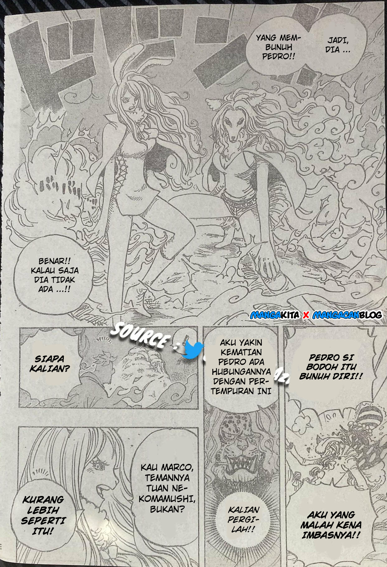 One Piece Chapter 995 lq Image 5