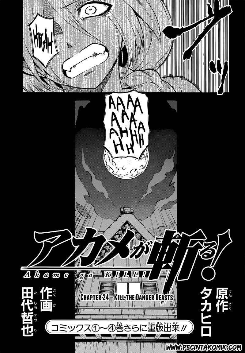 Akame ga Kill! Chapter 24 Image 3