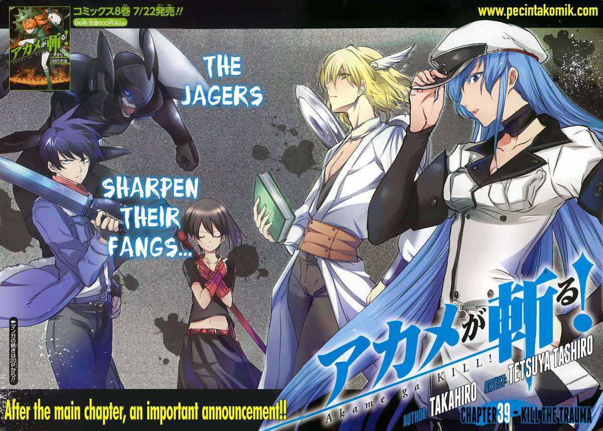 Akame ga Kill! Chapter 40 Image 2