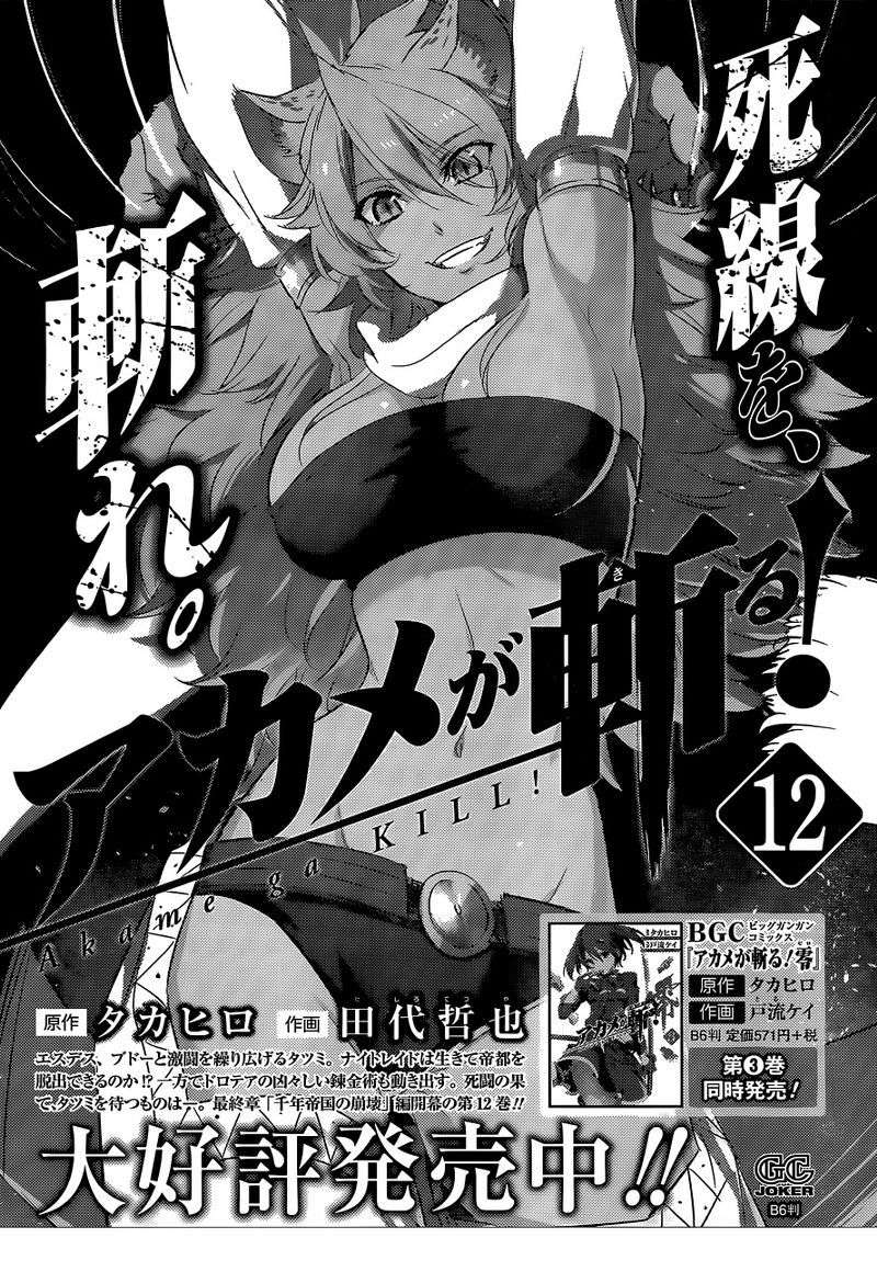 Akame ga Kill! Chapter 62 Image 48