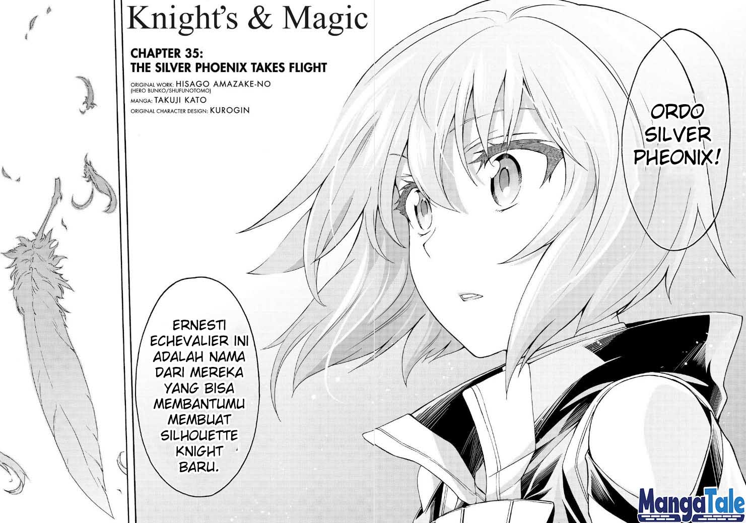 Knights & Magic Chapter 35 Image 16