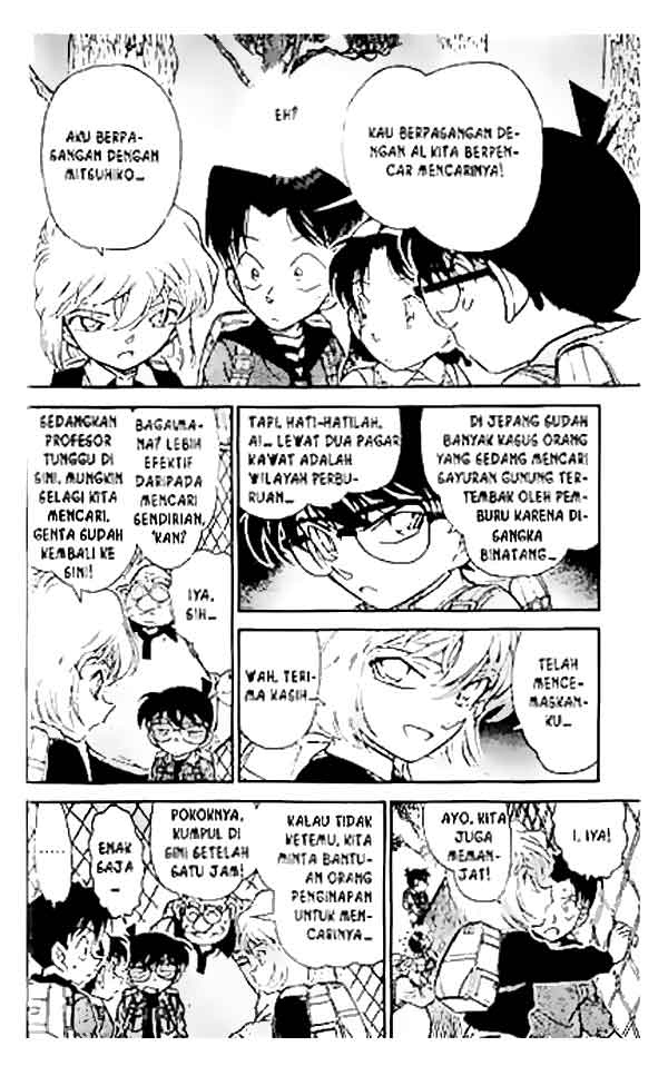 Detective Conan Chapter 273 Image 8