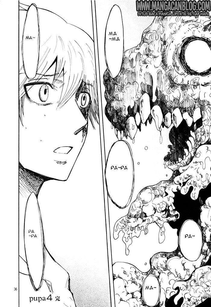 Pupa Chapter 26 Image 34